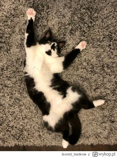 leonid_bialkow - @wfyokyga: cze dla ciebie