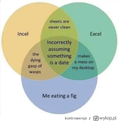 kontrowersje - #incel == #excel
SPOILER