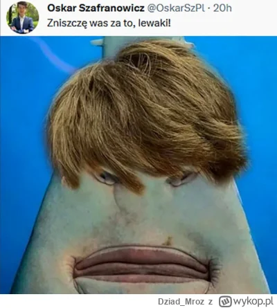 Dziad_Mroz - ヽ( ͠°෴ °)ﾉ