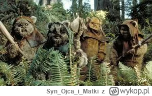 SynOjcai_Matki - Wyglądają bardziej jak ewoki