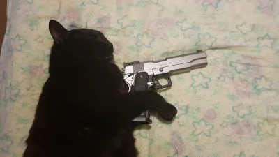 paczelok - #paczekot