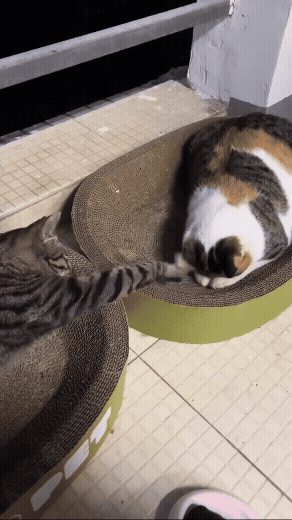 jestemtakizmeczony - - Mame, mame, mame, mame! 
- Co?
- Śpisz?