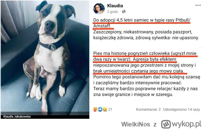WielkiNos - Kto ma ochotę zaadoptować takiego milutkiego pieska i dać mu kochający do...