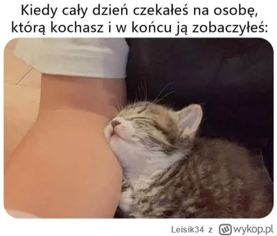 Leisik34 - #koty #logikarozowychpaskow #logikaniebieskichpaskow #heheszki