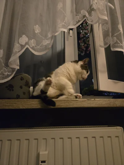 Solsith - @Kantorwymianymysliiwrazen: znajdę chwilę to na wagę i jak przebiła 5 kg to...