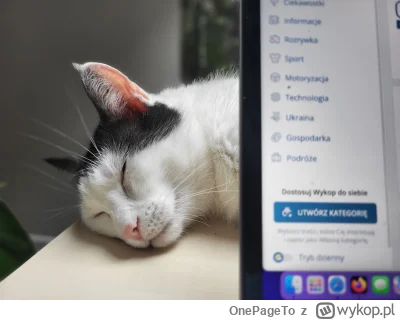 OnePageTo - @Mega_Smieszek kotek pozdrawia