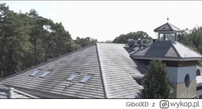 GibolXD - #famemma halo halo halo Szacunekkk