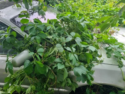 digger3 - Żyje w posapokaliptycznyn świecie, a to dowód. #przegryw #samochody #postap...