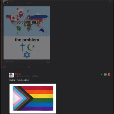 Selina - Nie rozumiem jak działa logika wykopków na głównej. Jak można przyrównywać r...