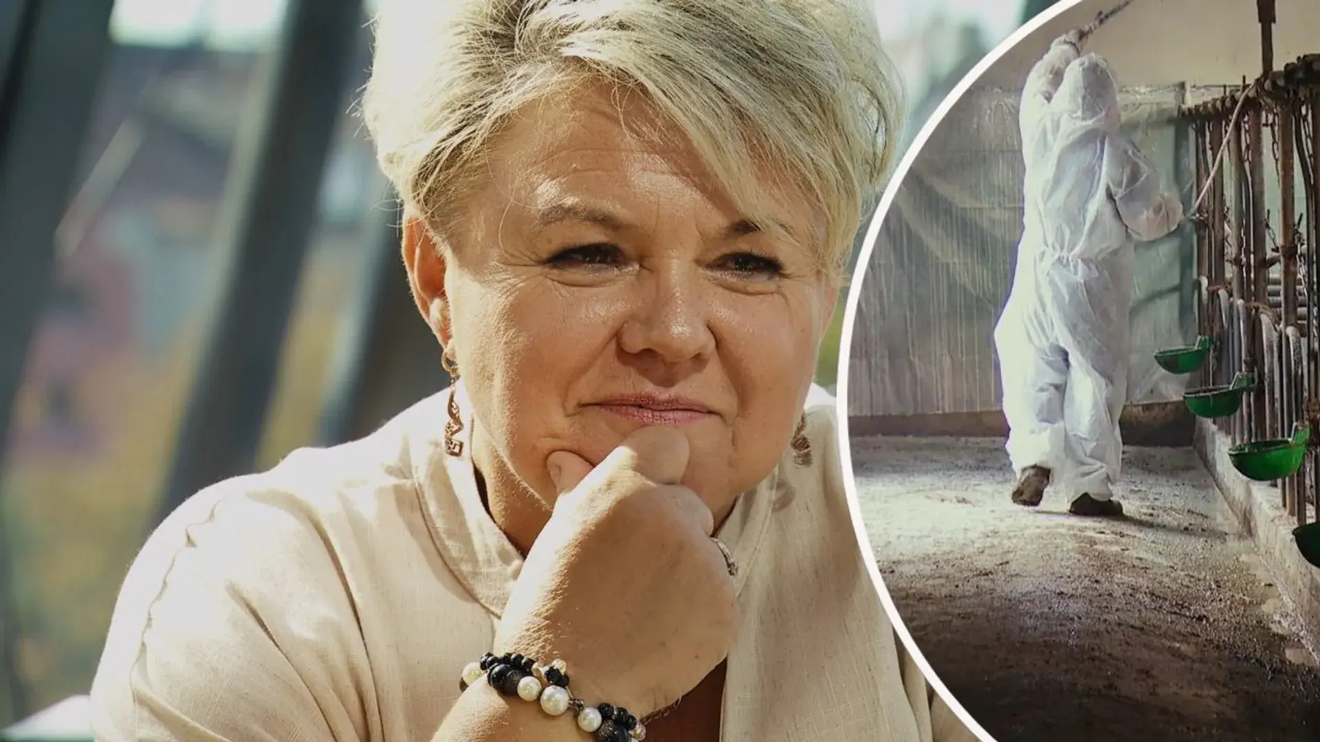 Nighthuntero - Ale bym obejrzał takie wapnowanie...
#rolnikszukazony