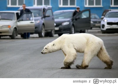 annlupin - ide se jusz do spania dobranoc nom