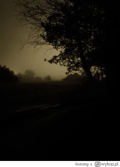 Rotning - Lubię czasem w zdjęcia, do aury