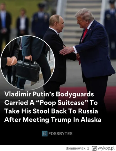 dominowiak - #rosja #putin #gowno #gownowpis #heheszki