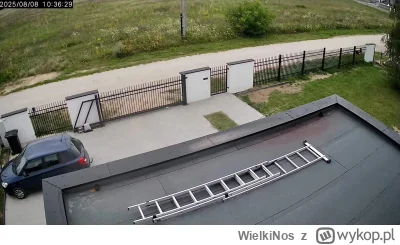 WielkiNos - W miejscowości Żołędowo (gm. Osiecko) amstaff wybiegł z posesji i rzucił ...