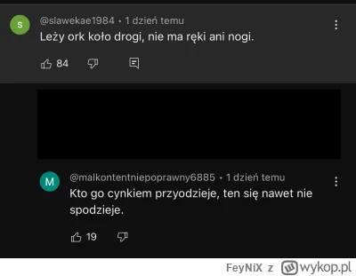 FeyNiX - Jeden z komentarzy pod filmem xD