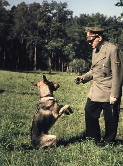 Hellicon - Mówcie co chcecie ale nie słyszałem żeby jego pies kogoś pogryzł.