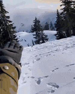 wfyokyga - Btaszki już u mnie śpiewają