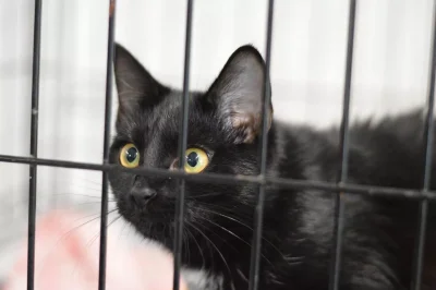 AndrzejBuzdygan - @AndrzejBuzdygan: (づ•﹏•)づ jaki uroczy