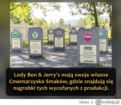 Ukiss - Niektóre smaki lodów Ben & Jerry's z czasem znikają z oferty. Fani często pro...