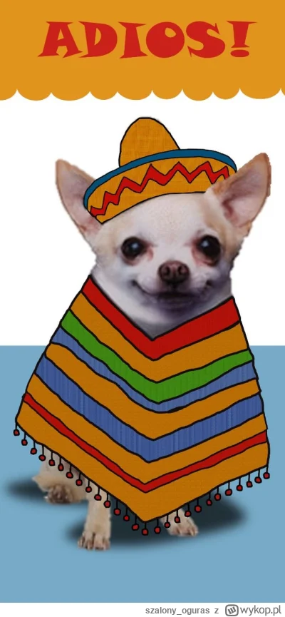 szalony_oguras - Koniec mistrzostw, do widzenia #f1 #gt3