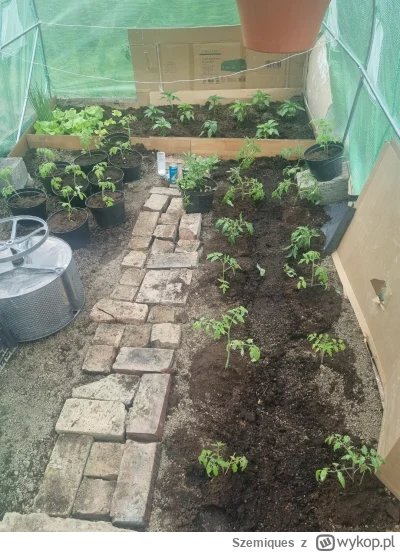 Szemiques - @Szemiques: