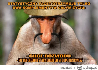 suzaku0 - #konkursnanajbardziejgownianymemznosaczem