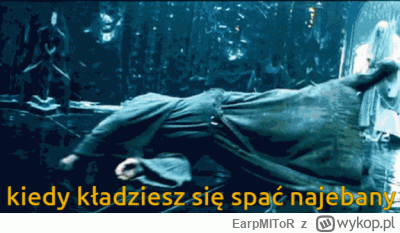 EarpMIToR - #wladcapierscieni #lotr