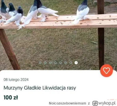 N.....m - >w dniu dzisiejszym czuje dyskomfort

@PodniebnyMurzyn: nie dziwię się... s...