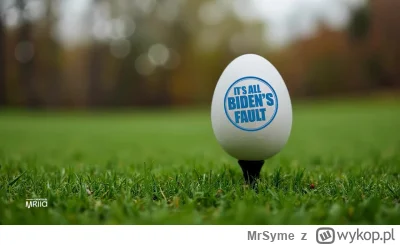 MrSyme - Ukradzione z #reddit 
#usa #idiokracja #trump