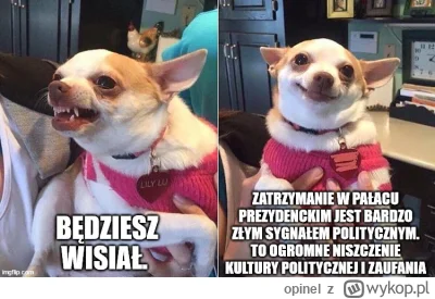 opinel - Pamiętacie jaki był kwik konfiarzy jak ich sondażownie sumowały razem z PiSe...