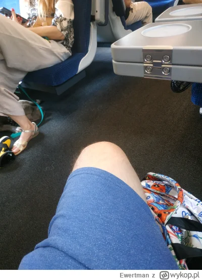 Ewertman - Jade PKP i oczywiście obok rodzinka z pitbullem bez kagańca XD małżeństwo ...