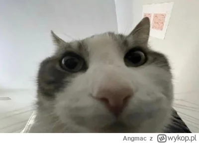 Angmac - > go to Ferrari
 look inside
 Haas

#f1