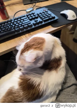 garar2 - @czaszkopranie: Hejo!

Jak się kotki mają? Bo obserwuje tagi i nic nowego ni...