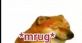 SteveMori - @Endorfinek  żebyś czasem tak nie miał 👀