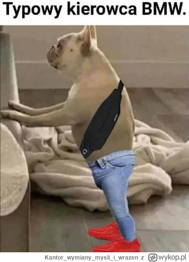 Kantorwymianymysliiwrazen - @Apaturia: ( ͡° ͜ʖ ͡°)