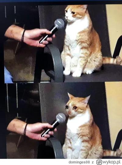 dominges08 - @hot_topic: a noo ogólnie to trenuję sobie push pull legs push pull, a w...