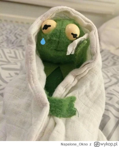 Napalone_Okno - Bardzo możliwe że to Uszczelka pod głowicą. W zbiorniku chłodzącym cz...