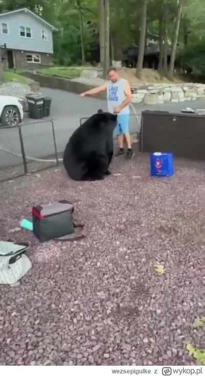 wezsepigulke - A dzisiaj pokażę wam jak wypierniczyć misia z imprezy

#heheszki #zwie...