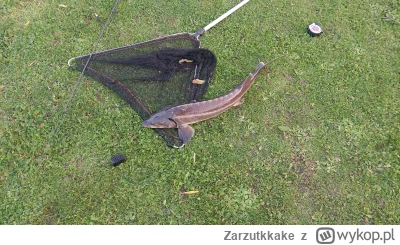 Zarzutkkake - Dzisiejszy wypad z żono nad jezioro. W sumie to pierwszy nasz taki.
Tą ...