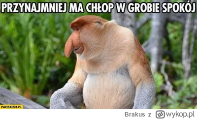 Brakus - ( ͡º ͜ʖ͡º)