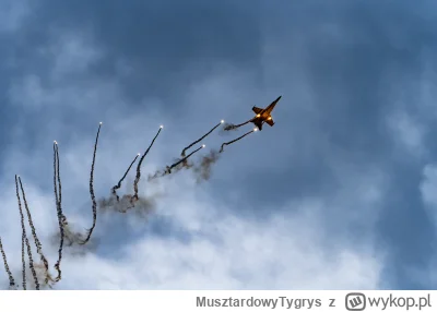 MusztardowyTygrys - Fiński F/A 18 Hornet na pokazach w Radomiu
#fotografia #airshow