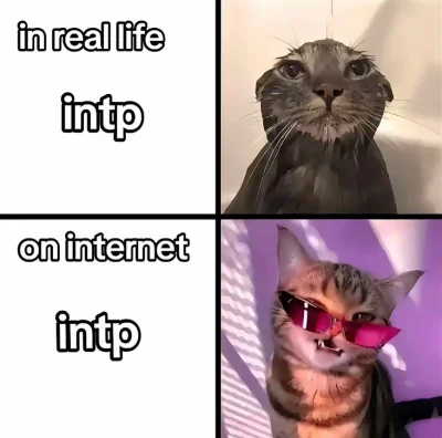 Wrrronika - Ja fajna (really) też poza internetem, tylko po prostu nie mam czasu spot...