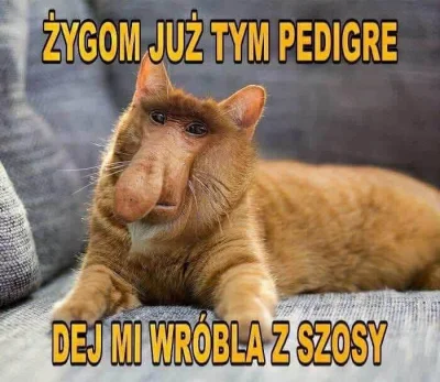 pawello321 - #konkursnanajbardziejgownianymemznosaczem