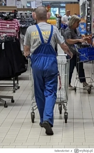 fallenArtist - @mineralna_3: wstawiam oryginał, bo widać, że zmniejszyłeś uszy finoni...