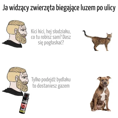 Mochizuki - @PierwszySpartanin ʕ•ᴥ•ʔ