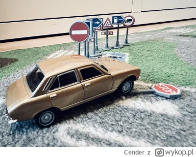 Cender - Czy nie za mało znaków jak na makietę Polski? #modelarstwo #diorama