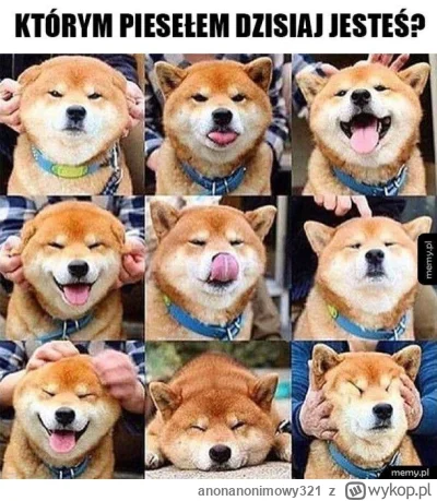 anonanonimowy321 - Chyba śmieszny by był taki mem "Którym trąbaczem dzisiaj jesteś" a...
