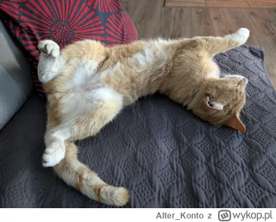 Alter_Konto - @Solsith mój jeszcze śpi