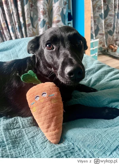 Vilyen - @ruskizydek @leeaxe @nn1upl