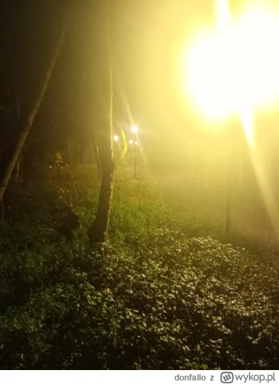 donfallo - @Wrrronika